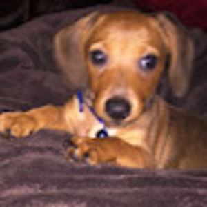 Meet your Posher, Crystal